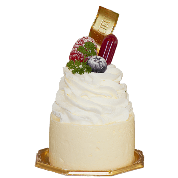 Les Petit Gateaux Patisserie Pierre Precieuse パティスリー ピエール プレシュウズ Les Petit Gateaux Patisserie Pierre Precieuse パティスリー ピエール プレシュウズ